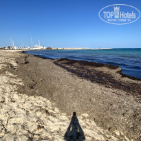 фото из отзыва ID 2360520