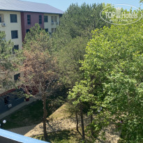 фото из отзыва ID 2360596