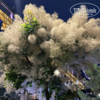 фото из отзыва ID 2360596