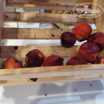 фото из отзыва ID 2360596