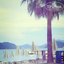 фото из отзыва ID 2360710