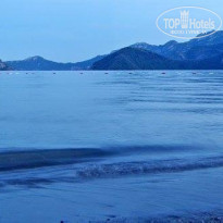 фото из отзыва ID 2360710