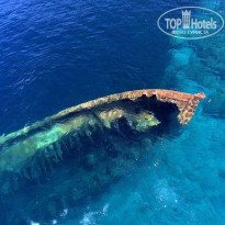 фото из отзыва ID 2360710