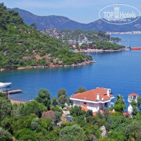 фото из отзыва ID 2360710