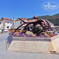 фото из отзыва ID 2360710