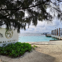 фото из отзыва ID 2360430