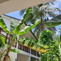 фото из отзыва ID 2360430