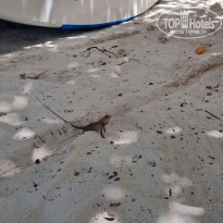 фото из отзыва ID 2360430