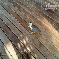 фото из отзыва ID 2360430