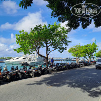 фото из отзыва ID 2360430