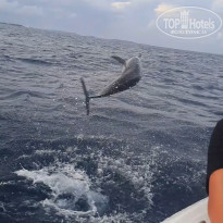 фото из отзыва ID 2360430