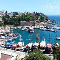 фото из отзыва ID 2360835