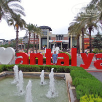 фото из отзыва ID 2360835