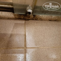 фото из отзыва ID 2360701