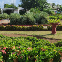 фото из отзыва ID 2361201