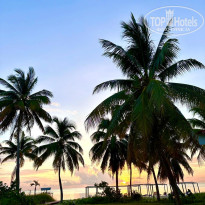 фото из отзыва ID 2361201