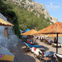 фото из отзыва ID 2361332