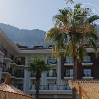 фото из отзыва ID 2361332