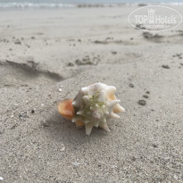 фото из отзыва ID 2361351