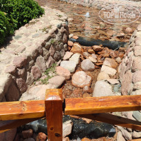 фото из отзыва ID 2361409