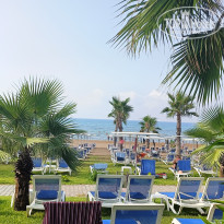 фото из отзыва ID 2361433