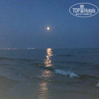 фото из отзыва ID 2361433