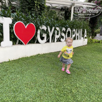 фото из отзыва ID 2361513