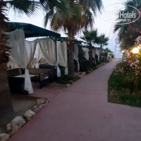 фото из отзыва ID 2361579