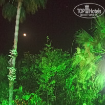 фото из отзыва ID 2361609