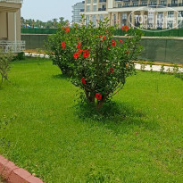 фото из отзыва ID 2361609