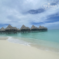 фото из отзыва ID 2361611