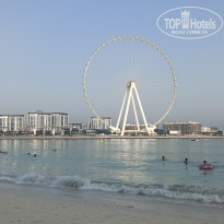 фото из отзыва ID 2361617