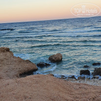 фото из отзыва ID 2361651