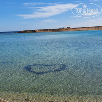 фото из отзыва ID 2361651