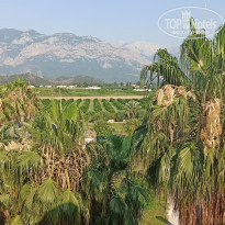 фото из отзыва ID 2361845