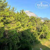 фото из отзыва ID 2361905