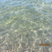 фото из отзыва ID 2361915