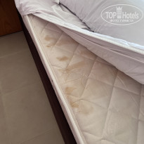 фото из отзыва ID 2361950