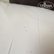 фото из отзыва ID 2361950