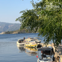 фото из отзыва ID 2362097