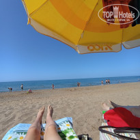 фото из отзыва ID 2361915