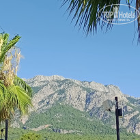 фото из отзыва ID 2361731