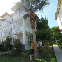 фото из отзыва ID 2361915