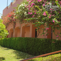 фото из отзыва ID 2362255