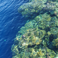 фото из отзыва ID 2362255