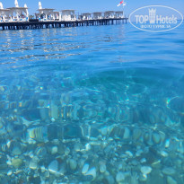 фото из отзыва ID 2362272