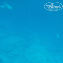 фото из отзыва ID 2362272