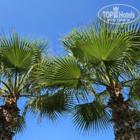 фото из отзыва ID 2362309