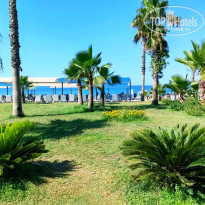 фото из отзыва ID 2362374