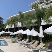 фото из отзыва ID 2362328